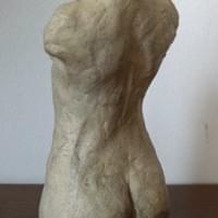 Female Torso Back View Female Torso Back View