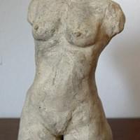 Female Torso Front View Female Torso Front View