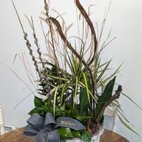 Natural Wonders Plant Basket $175 Natural Wonders Plant Basket $175