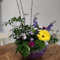 10"  Plant Garden with Fresh Flowers  $85 10"  Plant Garden with Fresh Flowers  $85