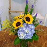 Sunny Days $65.99 Sunny Days $65.99