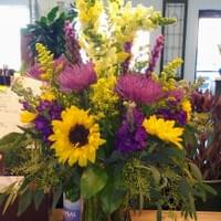Vibrance  $140.99 Vibrance  $140.99