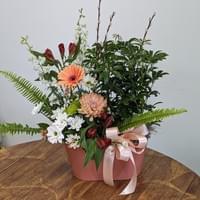 12" Dish Garden with Green Plant and Fresh Arrangement $100 12" Dish Garden with Green Plant and Fresh Arrangement $100