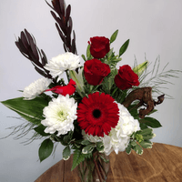 Cardinal Tribute - $100 Cardinal Tribute - $100