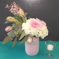 Devoted $40.99 Devoted $40.99