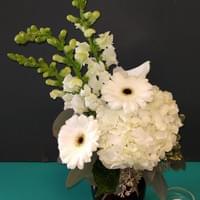 Romance $55.99 Romance $55.99