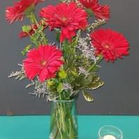 1/2 Dozen Gerbers $60 1/2 Dozen Gerbers $60