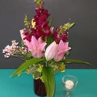 Duchess $80 Duchess $80