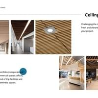 Ceiling And Partition #121 Ceiling And Partition #121