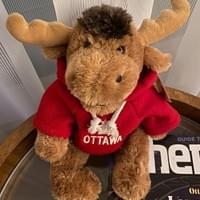 お土産はムース