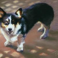 "Corgi Mischief"  14x11" pastel "Corgi Mischief"  14x11" pastel