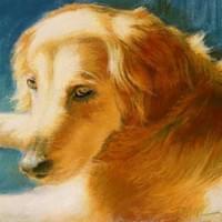 "Golden"  14x11" pastel "Golden"  14x11" pastel