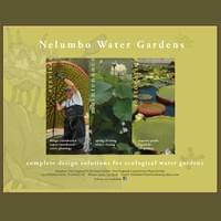 NelumboWaterGardens.com NelumboWaterGardens.com