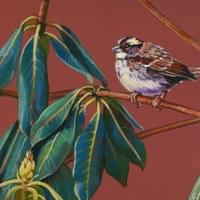 "Autumn Sparrow"  10x10" acrylic/mixed on board "Autumn Sparrow"  10x10" acrylic/mixed on board