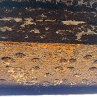Corroded shield frame Corroded shield frame
