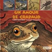 Un amour de crapaud Un amour de crapaud