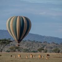 Balloon Safaris Balloon Safaris