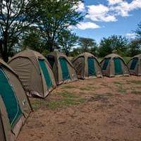 Camping Safaris Camping Safaris