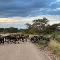Road Trafic Road Trafic