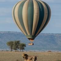 Balloon Safari Adventures Balloon Safari Adventures
