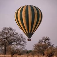 Balloon Safari Adventures Balloon Safari Adventures