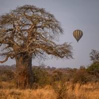 Balloon Safari Adventures Balloon Safari Adventures