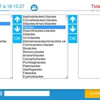 Ecran de caisse - logiciel de caisse pour lfeuriste Ecran de caisse - logiciel de caisse pour lfeuriste