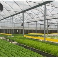 Hydroponic application Hydroponic application