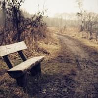 IT FEELS LIKE AN EMPTY BENCH IT FEELS LIKE AN EMPTY BENCH