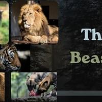 The Beasts The Beasts