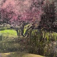 Pink (2026) Copyright MCalenda Pink (2026) Copyright MCalenda