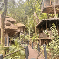Spa services in the rain forest