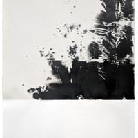 Polaroïd Ink 10 Polaroïd Ink 10