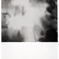 Polaroïd Ink 2 Polaroïd Ink 2