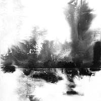 Internal Landscape 11 Internal Landscape 11