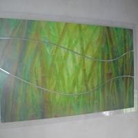 Foresta bambù Foresta bambù