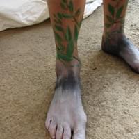 Radicamento Radicamento