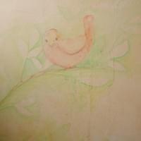 bosco velato bosco velato