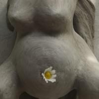 Nascere dalle radici (particolare) Nascere dalle radici (particolare)