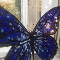 Farfalla Blu Farfalla Blu