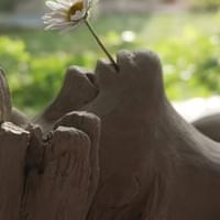 Nascere dalle radici (particolare) Nascere dalle radici (particolare)