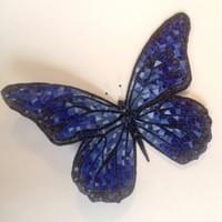 Farfalla Blu Farfalla Blu