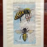 Honey Bee on a map. 27" X 23" Honey Bee on a map. 27" X 23"