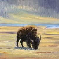 Bison Lamar Valley, Yellowstone 9"x12' Bison Lamar Valley, Yellowstone 9"x12'