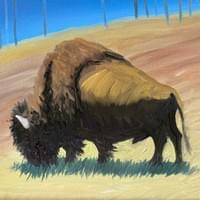 Bison, Yellowstone $3 Bison, Yellowstone $3