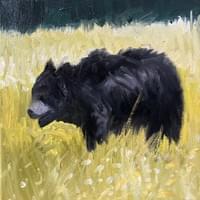 Black Bear Yellowstone 8"X8" Black Bear Yellowstone 8"X8"