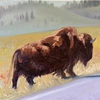 Bison Lamar valley #3 Bison Lamar valley #3