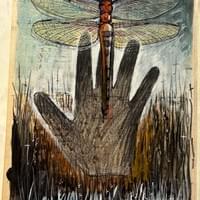 Dragonfly and Hand. Collage, Framed 14"X18" Dragonfly and Hand. Collage, Framed 14"X18"