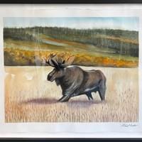 Bull Moose. Watercolor and Ink. 18"X 22". Framed Bull Moose. Watercolor and Ink. 18"X 22". Framed