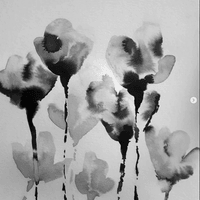 Tulipes Tulipes